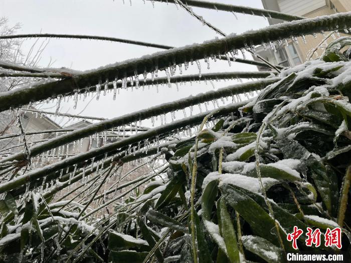 湖北低温雨雪冰冻灾害应急响应升级