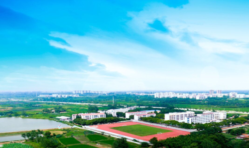 荆门市掇刀区团林中学