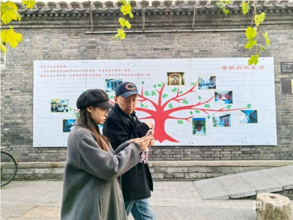 微信截图_20241208205616